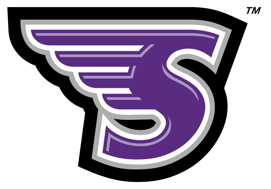 Stonehill Skyhawks 2005-2017 Secondary Logo diy iron on heat transfer